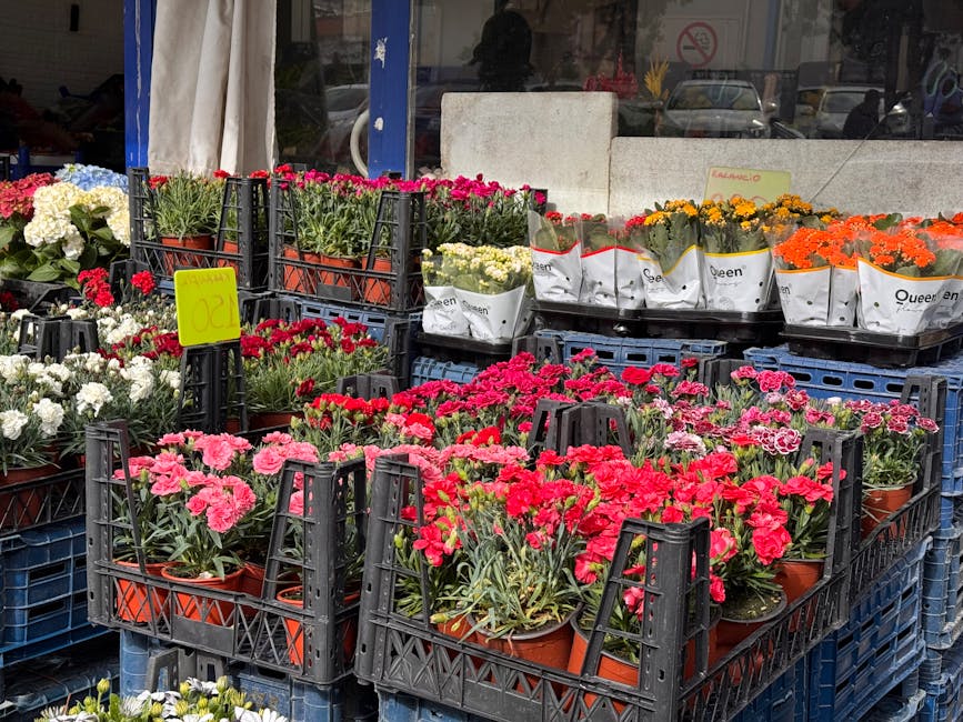 A display of various potted flowering plants arranged in black plastic crates outside a flower shop, featuring clusters of bright pink, red, white, orange, and yellow blooms. The flowers include carna