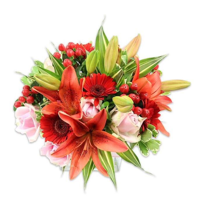 A richly hued floral composition set against a clean white backdrop, this bouquet reads as both opulent and carefully considered. Several striking orange-red Asiatic lilies form the central drama, their recurved petals speckled with fine dots and centered by dark, pollen-tipped stamens that bring botanical precision to the design. Scattered among them are vibrant red Gerbera daisies, their radiating petals surrounding nearly black centers and creating a lively graphic rhythm. Pale blush roses provide a soft foil - petals layered like silk, some in bud and others unfurling to display their classic spiral - introducing a gentle, romantic cadence that tempers the bolder tones. Bright clusters of hypericum berries punctuate the arrangement, their shiny red skins and compact form adding playful texture and jewel-like detail. The bouquet is generously filled with varied green foliage: broad, glossy leaves for solidity, slender lily foliage for vertical lines, and a few variegated pieces that add lightness and visual complexity. Photographed with bright, even lighting, the composition's colours feel saturated yet natural, and the full, rounded shape speaks to meticulous hand-tying and balance. This is the sort of arrangement Gipsy Hill Flowers would prepare for local customers in SE19 who want a confident, heartwarming gift - equally suited to anniversaries, congratulatory occasions or to lift a living room beside Crystal Palace Park. It evokes tactile contrasts and a soft, sweet-spicy scent, offering a harmonious celebration of texture, colour and florist craft.