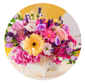 Birthday Flowers Gipsy Hill